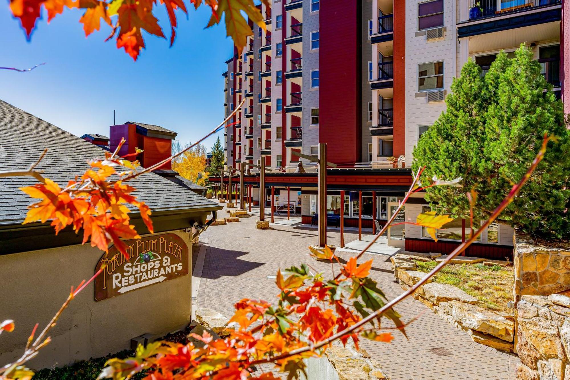 Torian Plum Plaza 204 Apartment Steamboat Springs Bagian luar foto